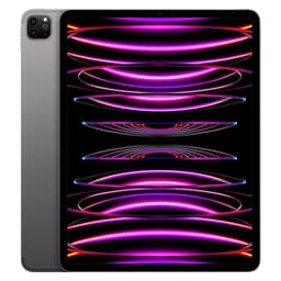 iPad Pro 12.9 第6世代